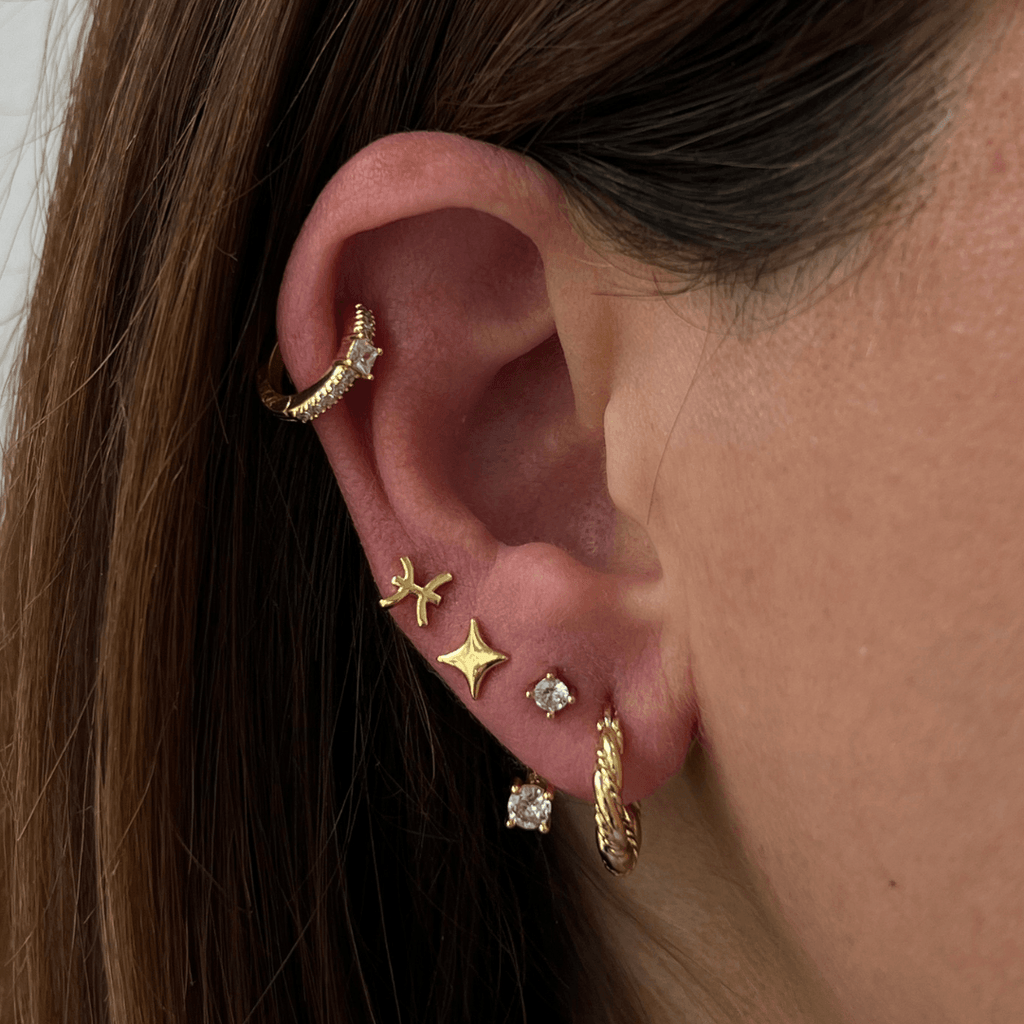 Evry Jewels Amaretto Earrings