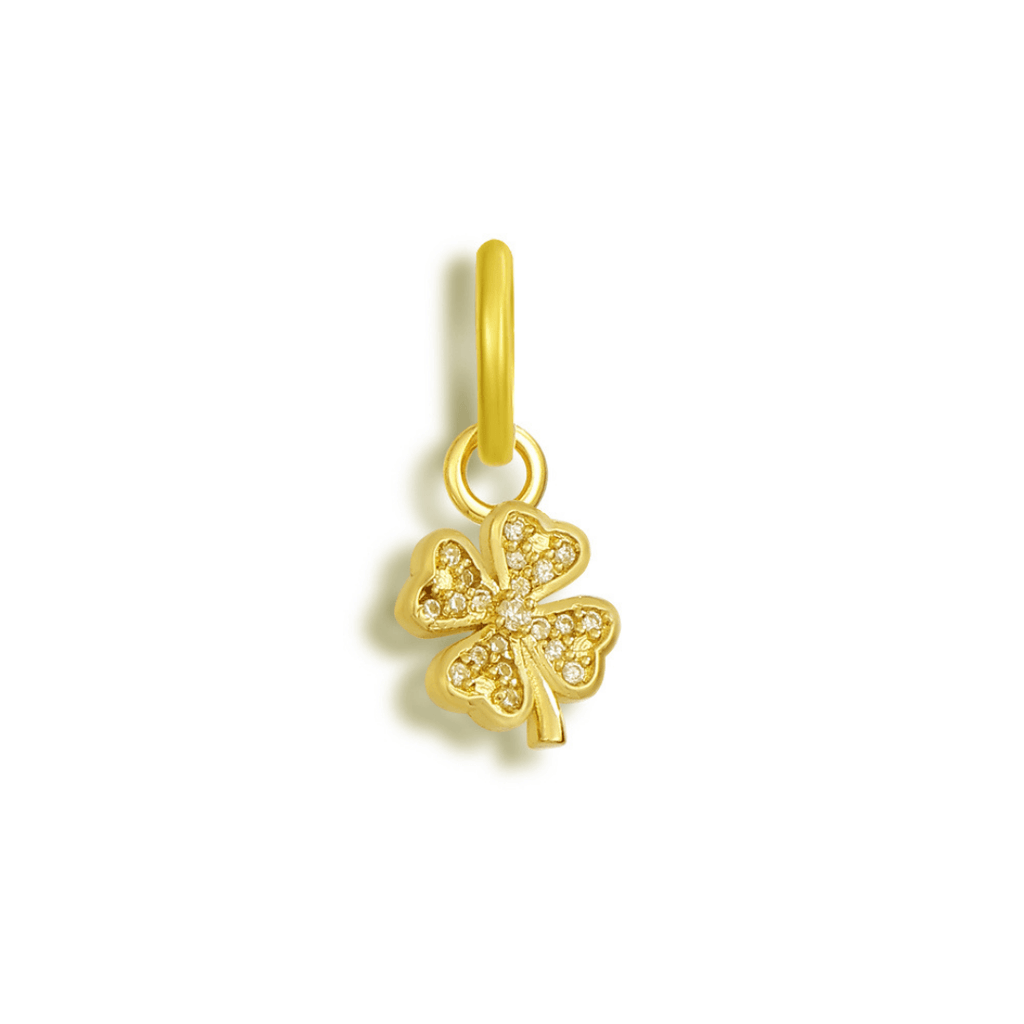 Evry Jewels Shoe Charms