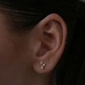 Evry Jewels Constellation Earrings