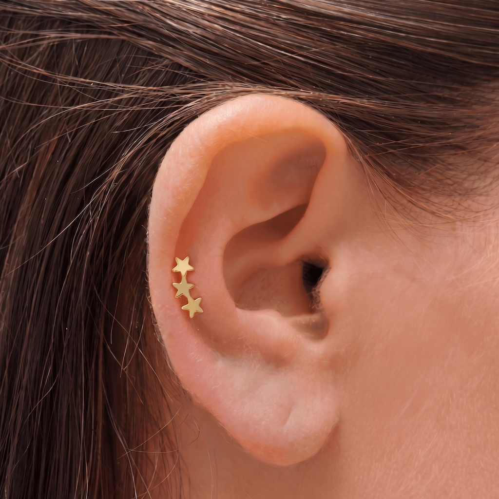 Evry Jewels A Star is Born Earrings