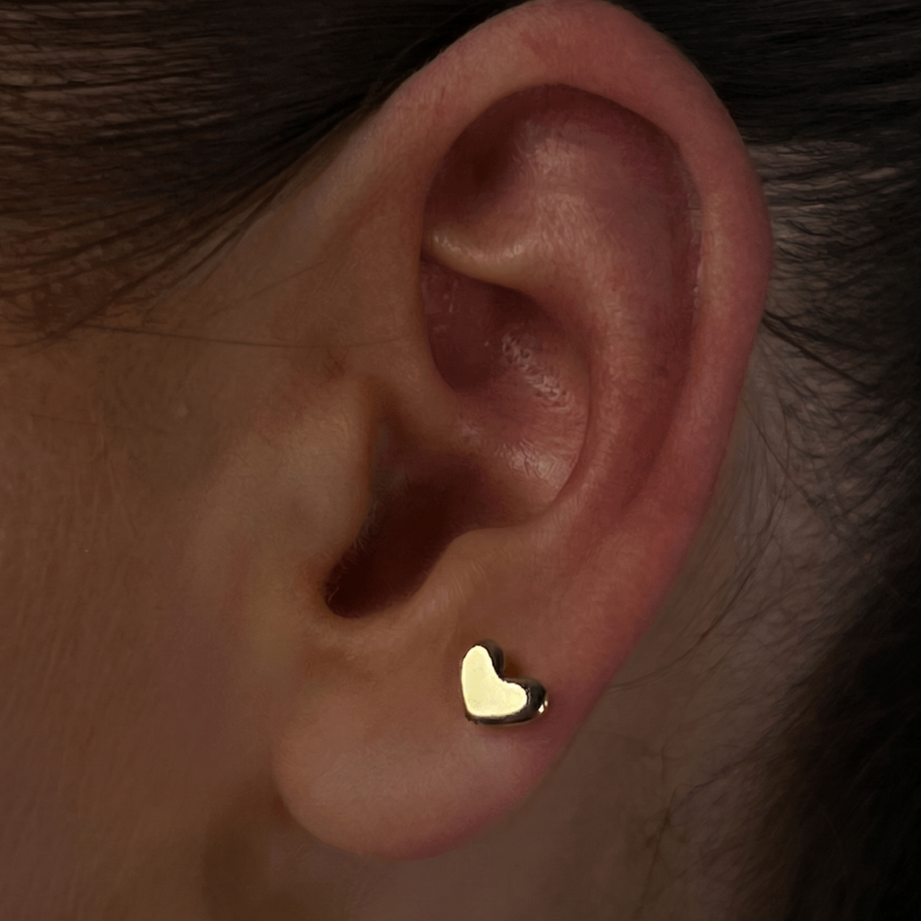 Evry Jewels Love Earrings