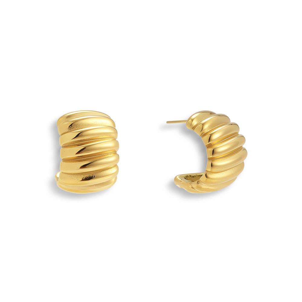 Evry Jewels Rich Behavior Earrings