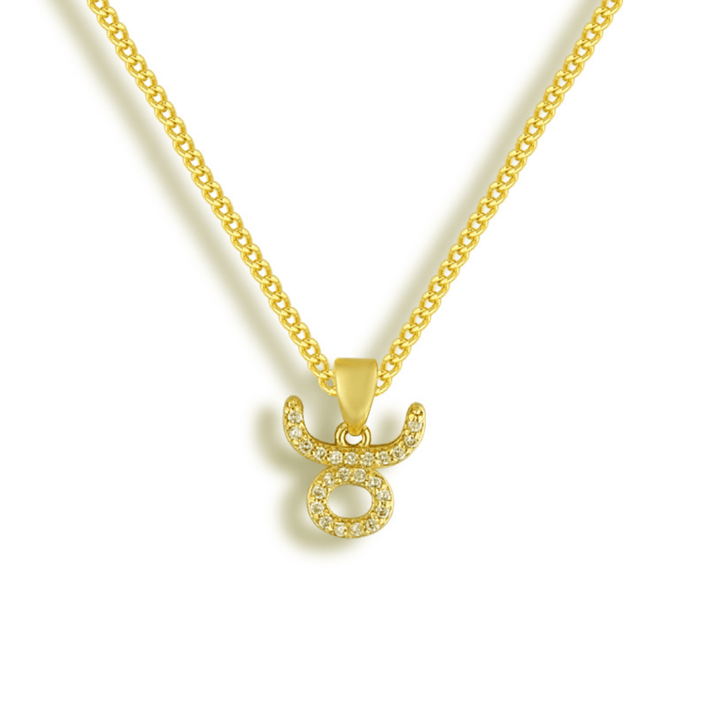 Evry Jewels Star Signs Necklace