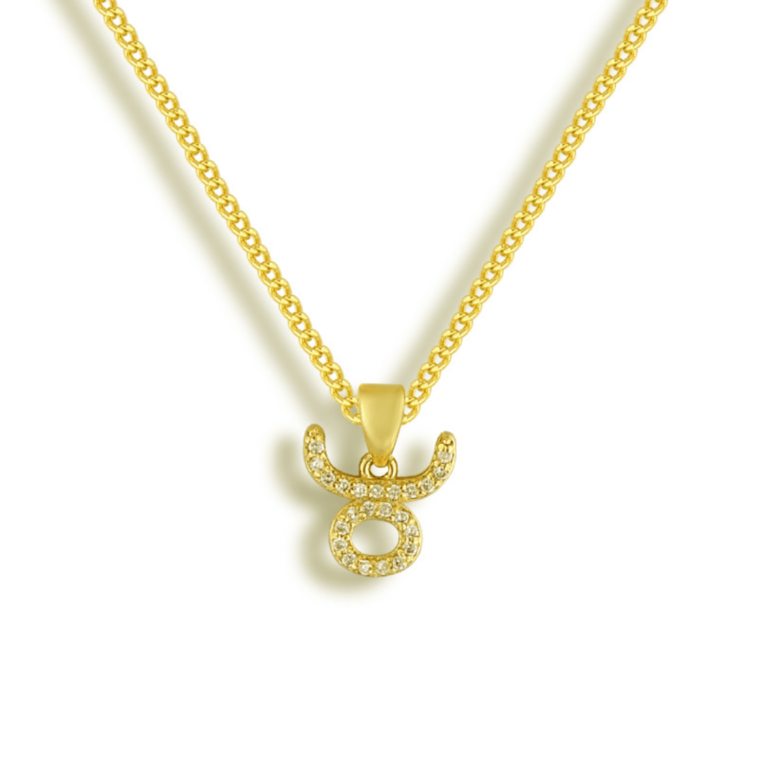 Evry Jewels Star Signs Necklace