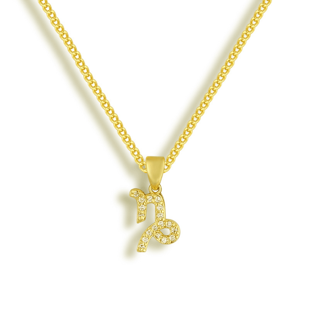 Evry Jewels Star Signs Necklace