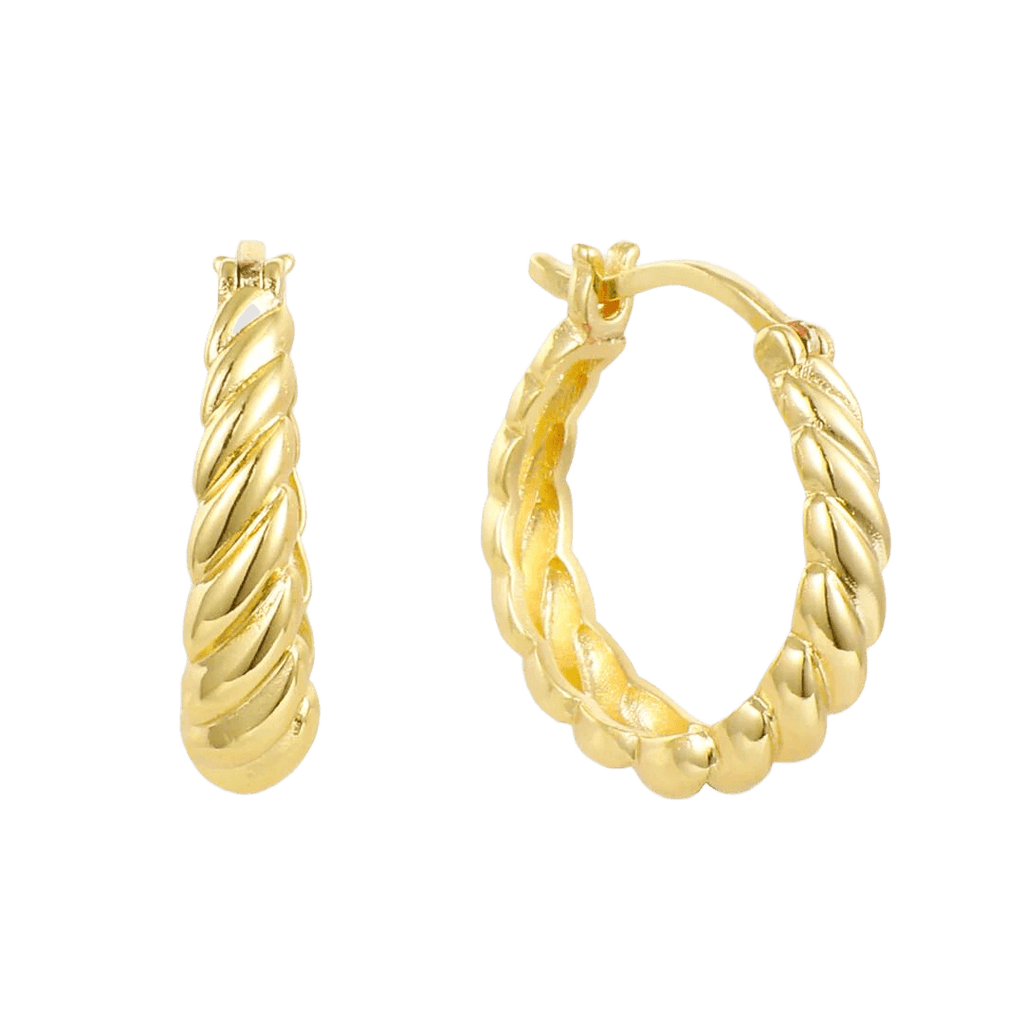 Evry Jewels Don't Get It Twisted Earrings