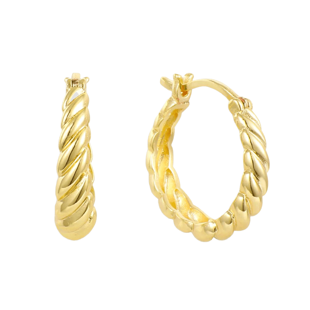 Evry Jewels Don't Get It Twisted Earrings