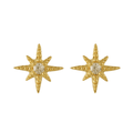 Evry Jewels Radiant Star Earrings